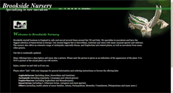 Desktop Screenshot of brookside-nursery.com