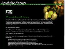 Tablet Screenshot of brookside-nursery.com